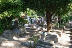 Tombes fleuries dans un cimetière pour animaux